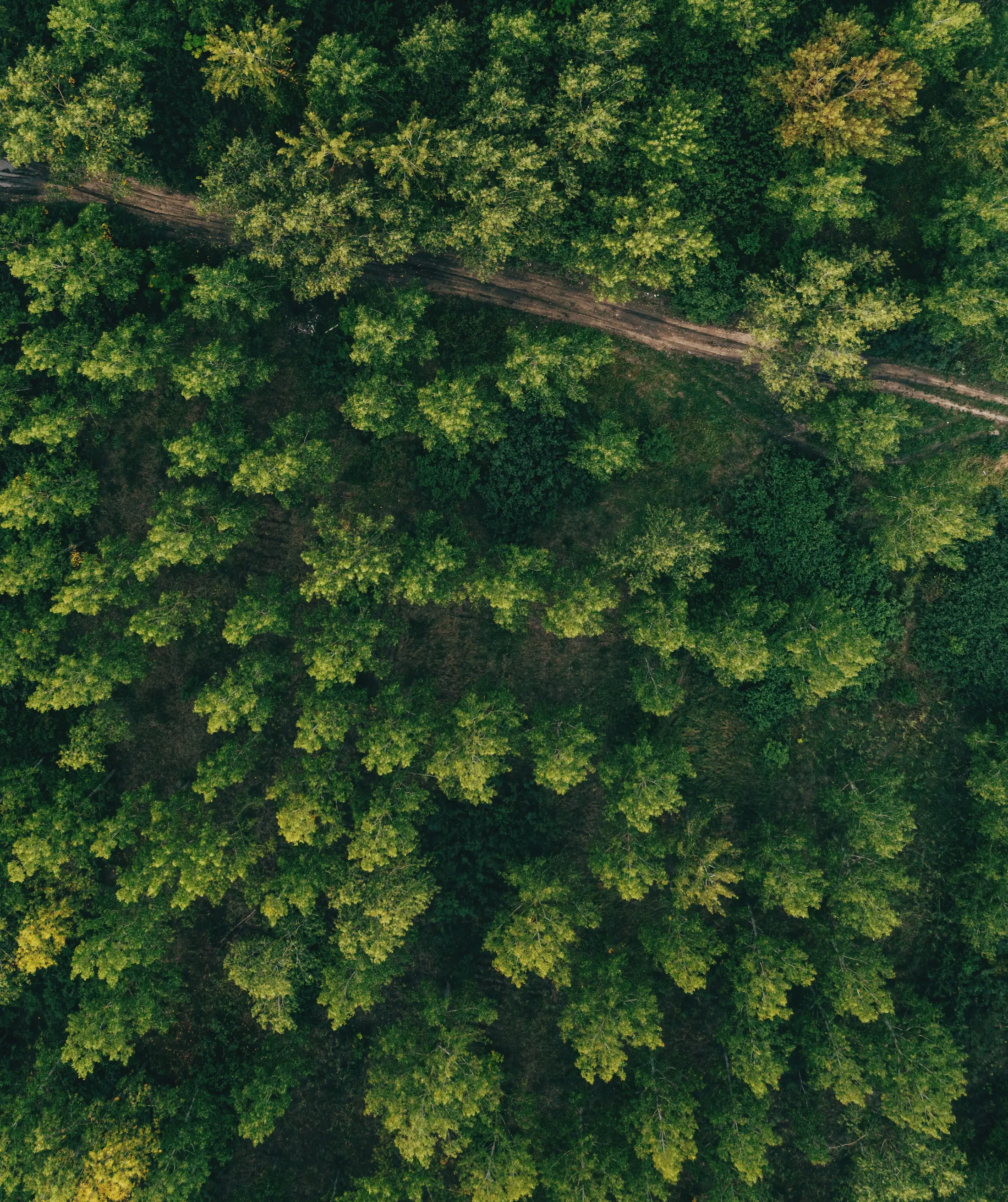 Uitgestrekt bos- en merenlandschap in Noorwegen