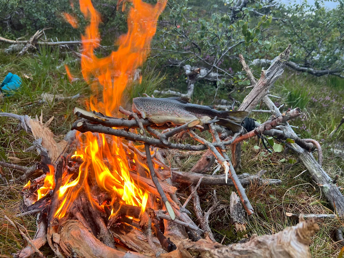 Vuur en eten tijdens een kamp in de wildernis