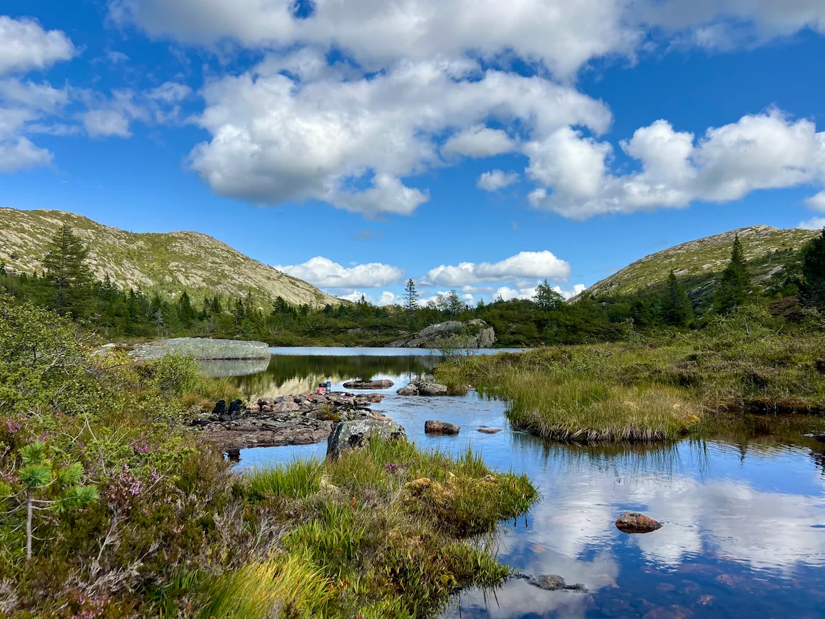 Stil Noors landschap zonder zichtbare afleiding
